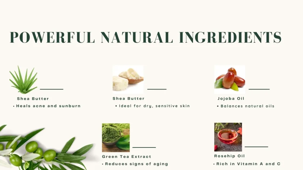 Powerful Natural Ingredients Your Skin Loves