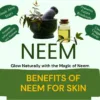 Benefits of neem on skin