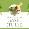 Basil Benefits on Skin