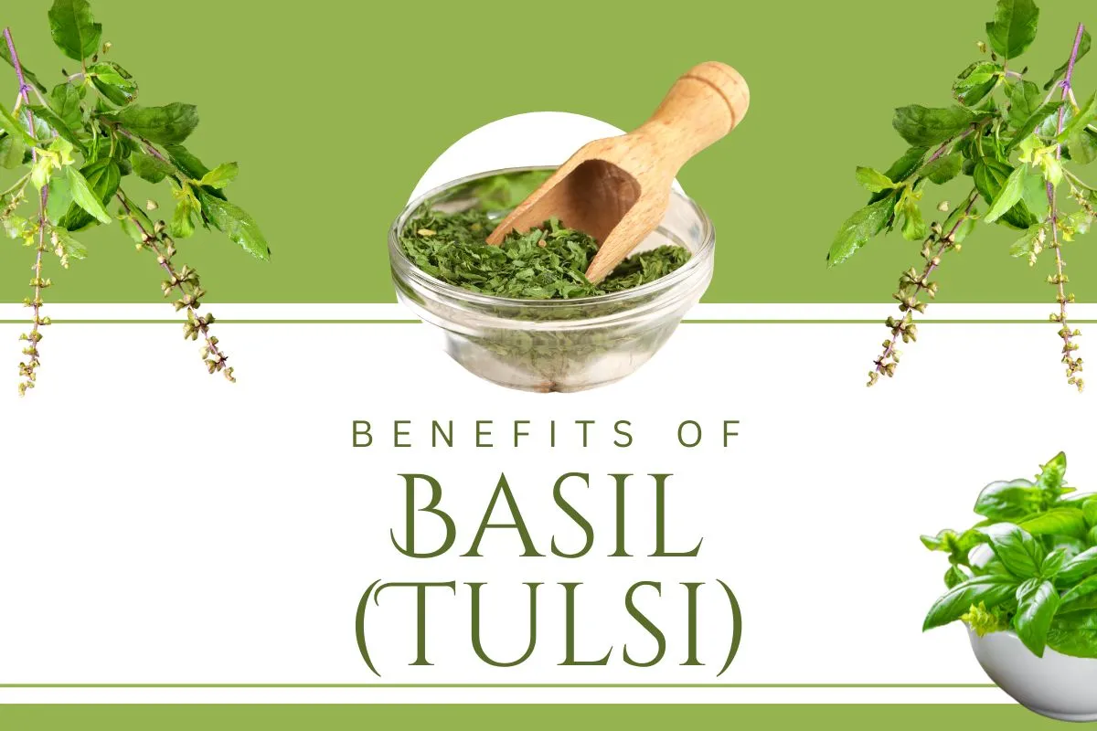 Basil Benefits on Skin