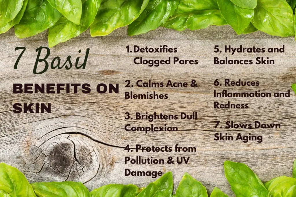 Top 7 Basil Benefits on Skin