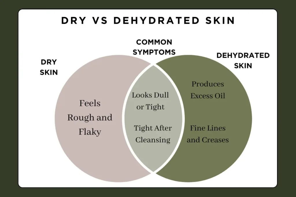 Difference between Dehydrated Skin and Dry Skin