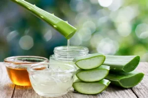 Aloe Vera – The Hydration Expert