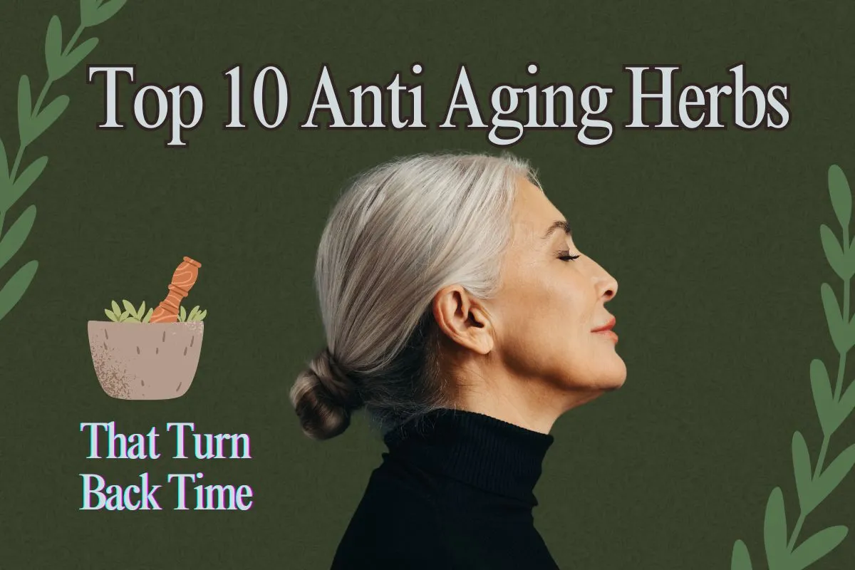 Anti Aging Herbs