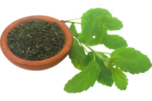 Holy Basil (Tulsi) – The Detoxifier