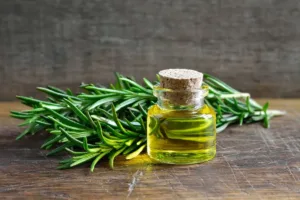 Rosemary – The Revitalizer