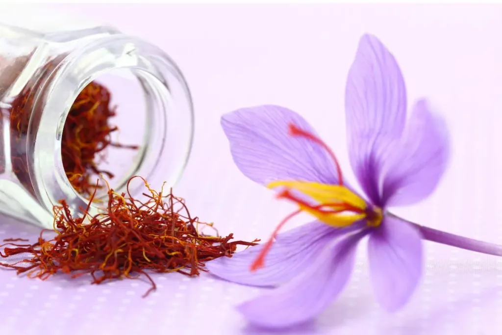 Saffron for skin