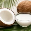 How Coconut Milk for Skin Gives Amazing Skin Benefits