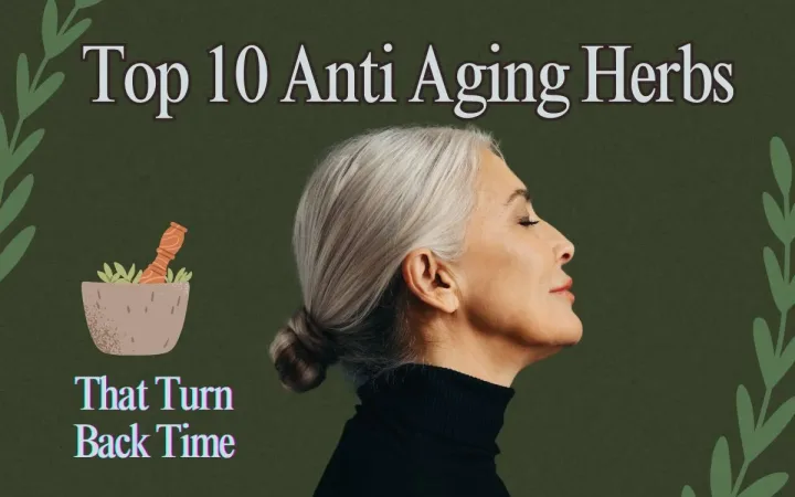 Anti Aging Herbs